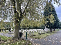 Anyone going near Richmond Cemetery (Surrey) before Remembrance Sunday?