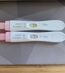 Due July/August 2022