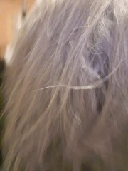 Anyone else want bigger, wavier hair?