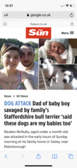 Staffys - tell me honestly, do they deserve such a bad rep