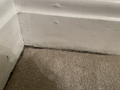 Help! Damp!