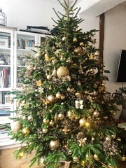 Are you one of this people with a perfect looking Christmas tree?