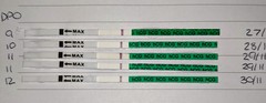 First Vue pregnancy tests