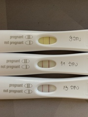 Due July/August 2022