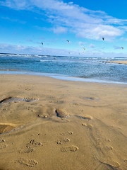 Cornwall or Isle of Wight for quick break this weekend?