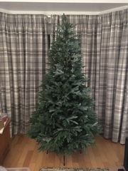 Come and talk to me about Balsam Hill Christmas Trees