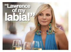 If Carrie is no longer with Big, I don’t think I want to watch the new SATC