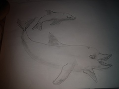 Is my child's drawing good for their age?