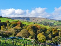 Holmfirth