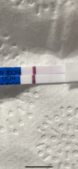 10dpo… why did I test?! Line eyes 👀