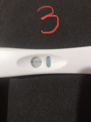 Help bfp or not?