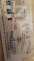 First time using OPK?! Help
