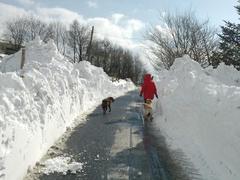 Have you ever been snowed in?