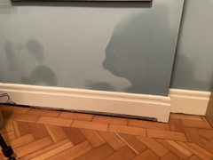 Help! Damp!