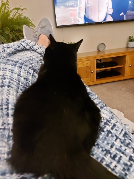 Talk to me re black cats…