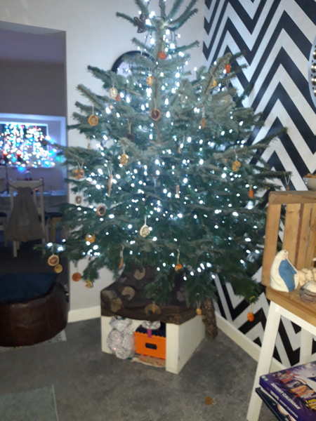 Do we have a show us your tree thread yet?