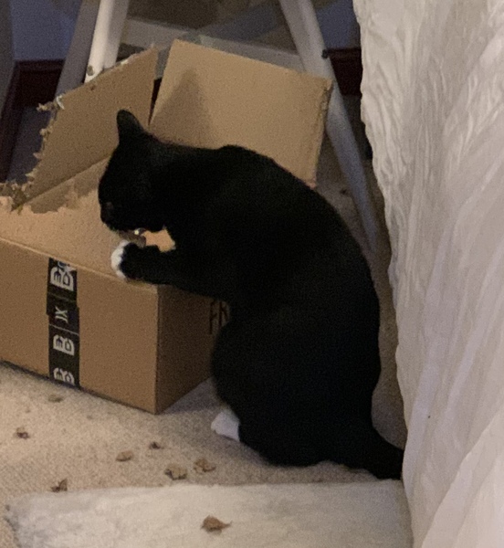 Paper bags and cardboard boxes
