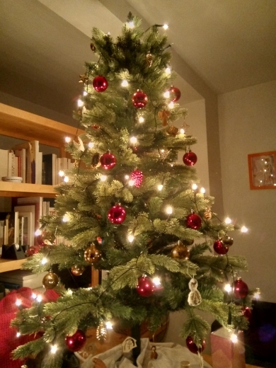 Do we have a show us your tree thread yet?