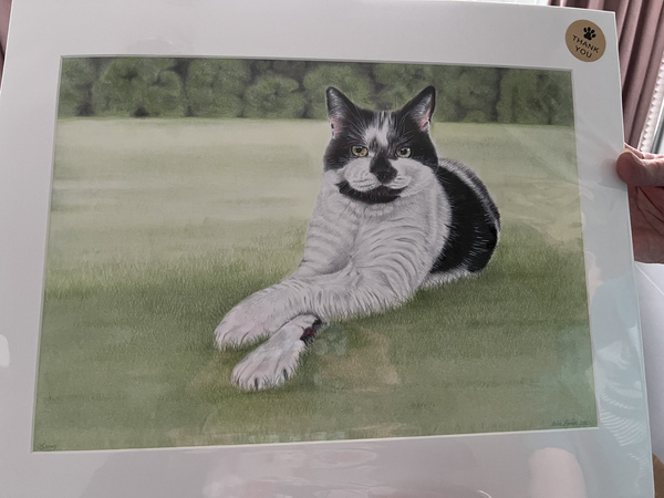 A portrait of Harry