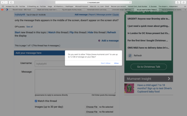 Do you want to allow “https://www.mumsnet.com” to use up to 1.2 GB of storage on your Mac?