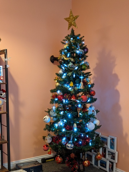 Do we have a show us your tree thread yet?
