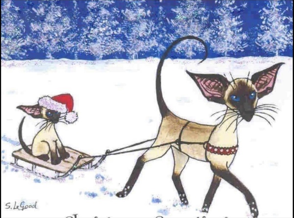 Stitch and bitch thread #3 Sewing is harder than it seams