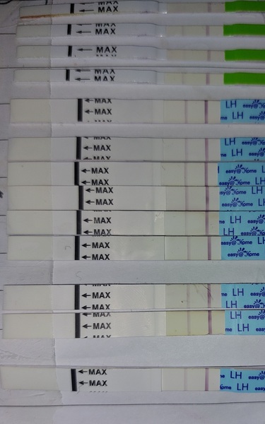 Are all these opk's negative ? TTC1 after MC and worried about ovulation.