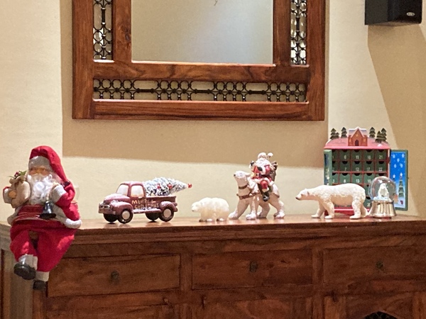 Bonkers Santa request