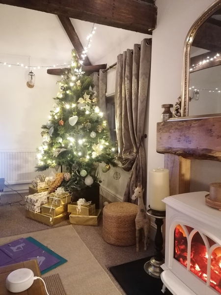 Do we have a show us your tree thread yet?