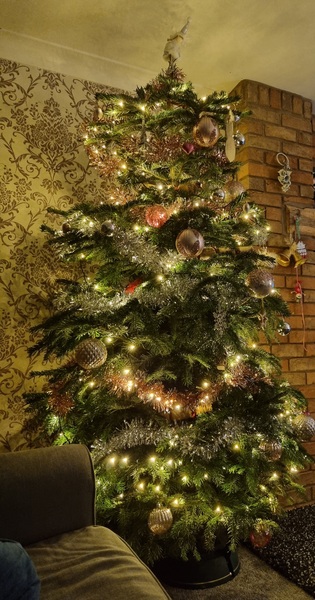 Dh bought ridiculously enormous Xmas tree.