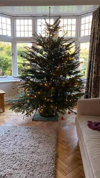 Do we have a show us your tree thread yet?