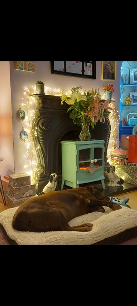 Can we please see pictures of your fireplaces and log burners ?