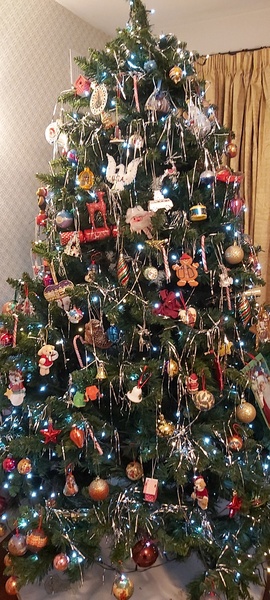 Do we have a show us your tree thread yet?