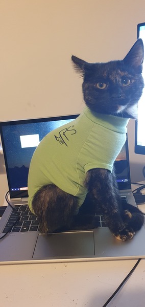 Should vet have advised us better?