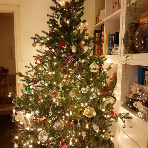Do we have a show us your tree thread yet?