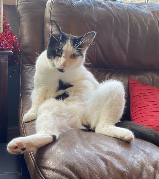 Can't I even lick my bollocks in peace?!