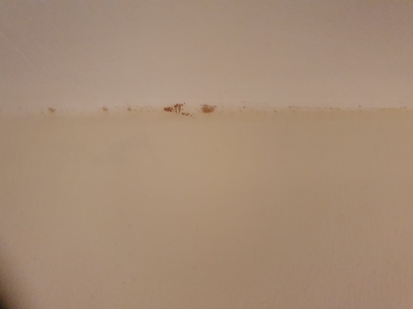 Can anyone identify this, please?