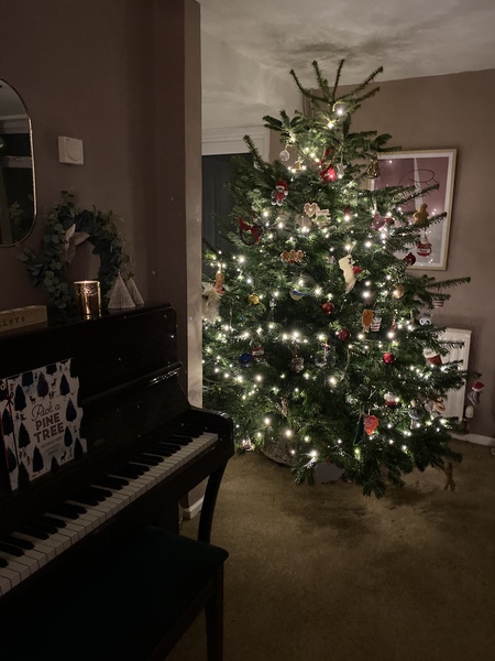 Do we have a show us your tree thread yet?