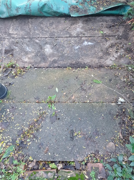 To ask what this massive hole under our garden is?