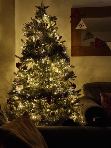 Brexit mega thread part 4 : non goady thread : Christmas edition