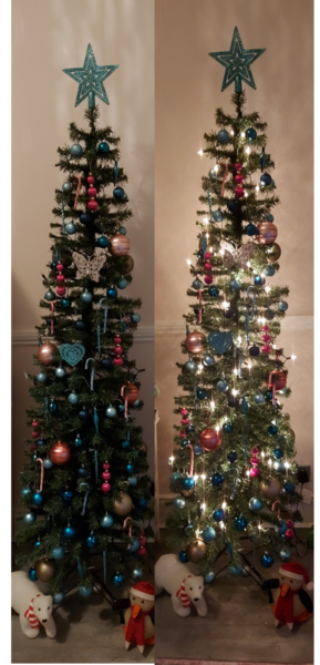 Do we have a show us your tree thread yet?