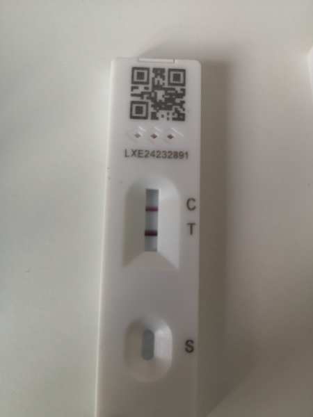 What do make of this timeline? Losing my mind here...