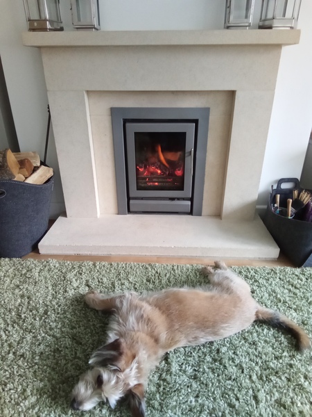 Can we please see pictures of your fireplaces and log burners ?
