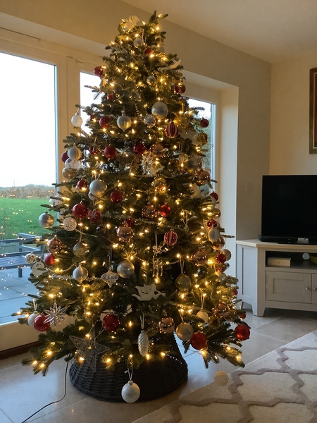 Do we have a show us your tree thread yet?