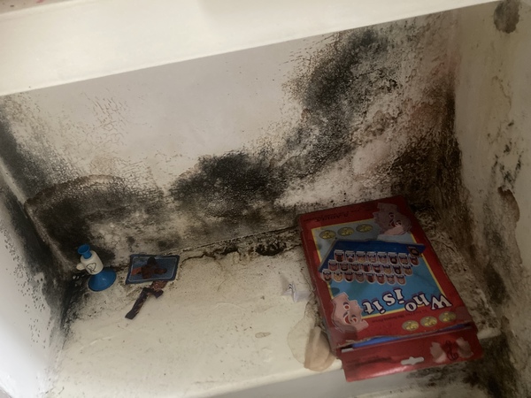 How bad is this black damp mould?