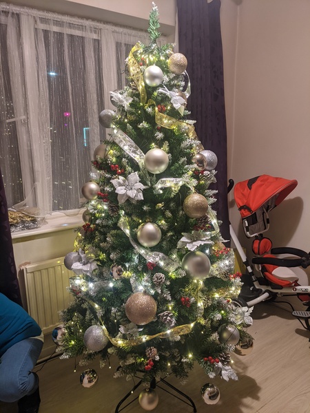 Do we have a show us your tree thread yet?