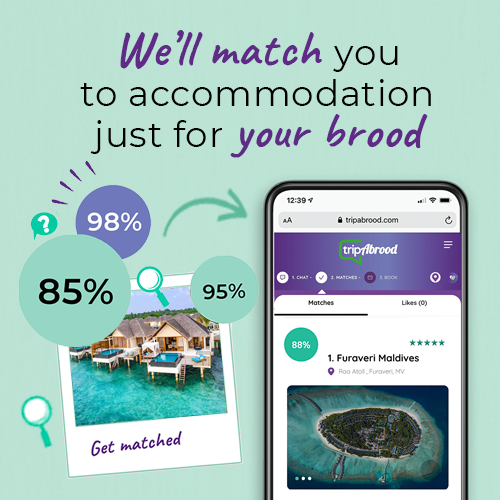 Sign up to test tripAbrood’s AI-powered holiday planning assistant - £10 voucher for feedback