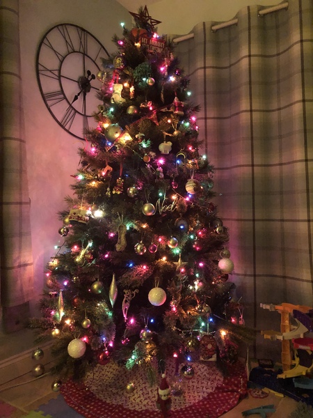 Do we have a show us your tree thread yet?