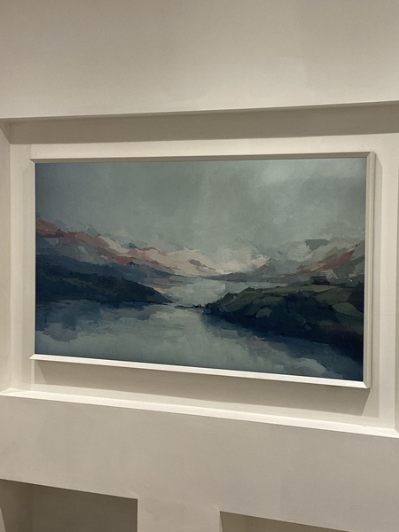 Do anyone has a mirror/art TV?