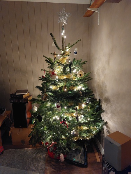 Do we have a show us your tree thread yet?